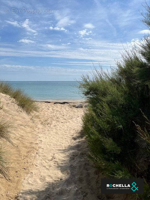 Commerce à LA COUARDE-SUR-MER