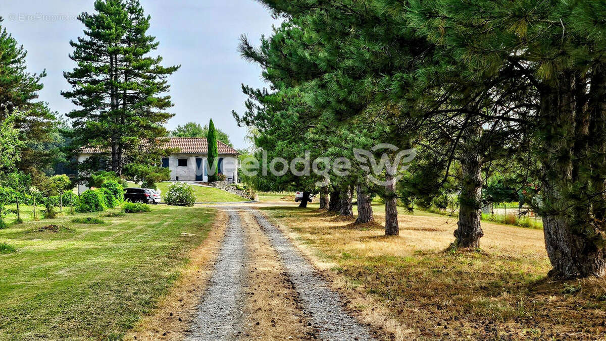 Maison à VILLENEUVE-LES-BOULOC