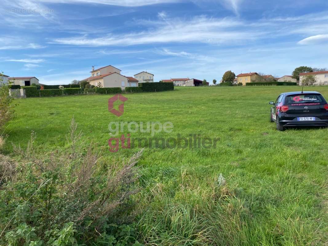 Terrain à BAS-EN-BASSET