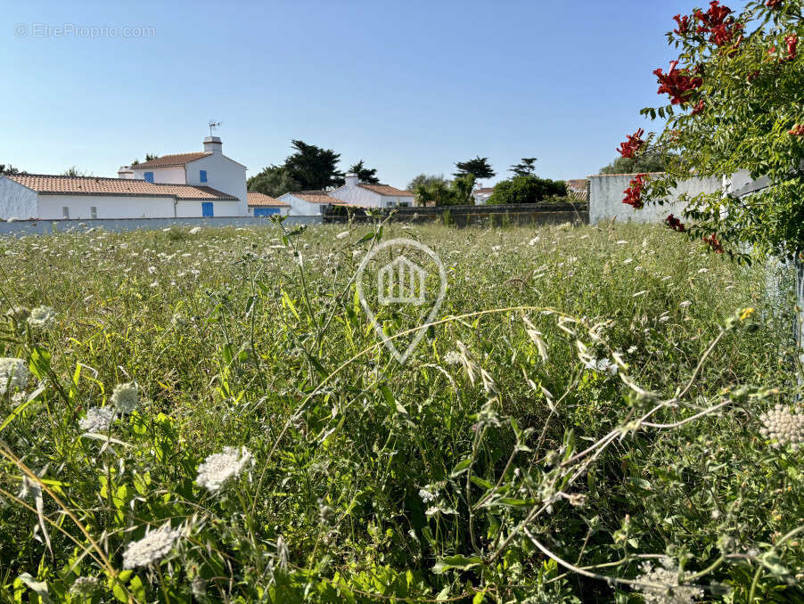 Terrain à NOIRMOUTIER-EN-L&#039;ILE