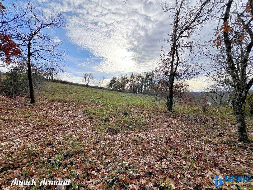 Terrain à REALMONT