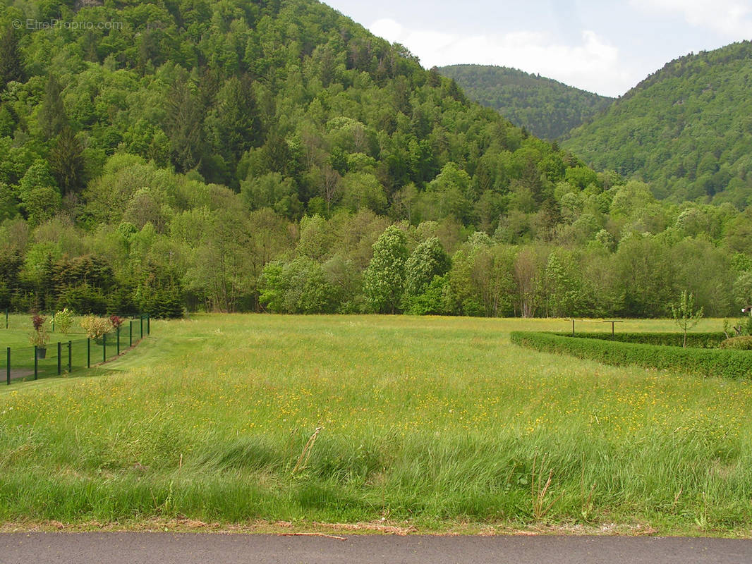 Terrain à MITTLACH