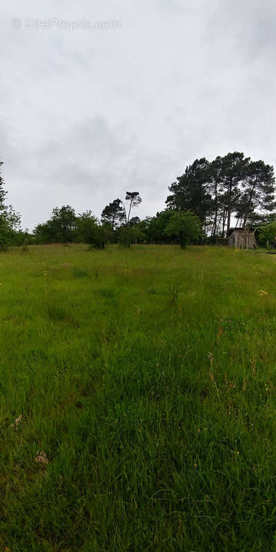 Terrain à SAINT-AIGULIN