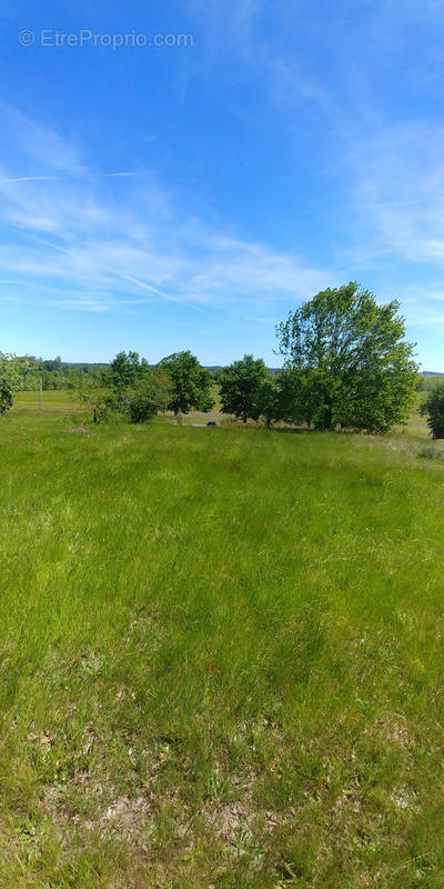 Terrain à SAINT-AIGULIN