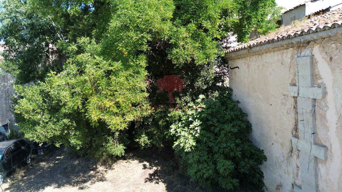 Maison à MONTPEYROUX