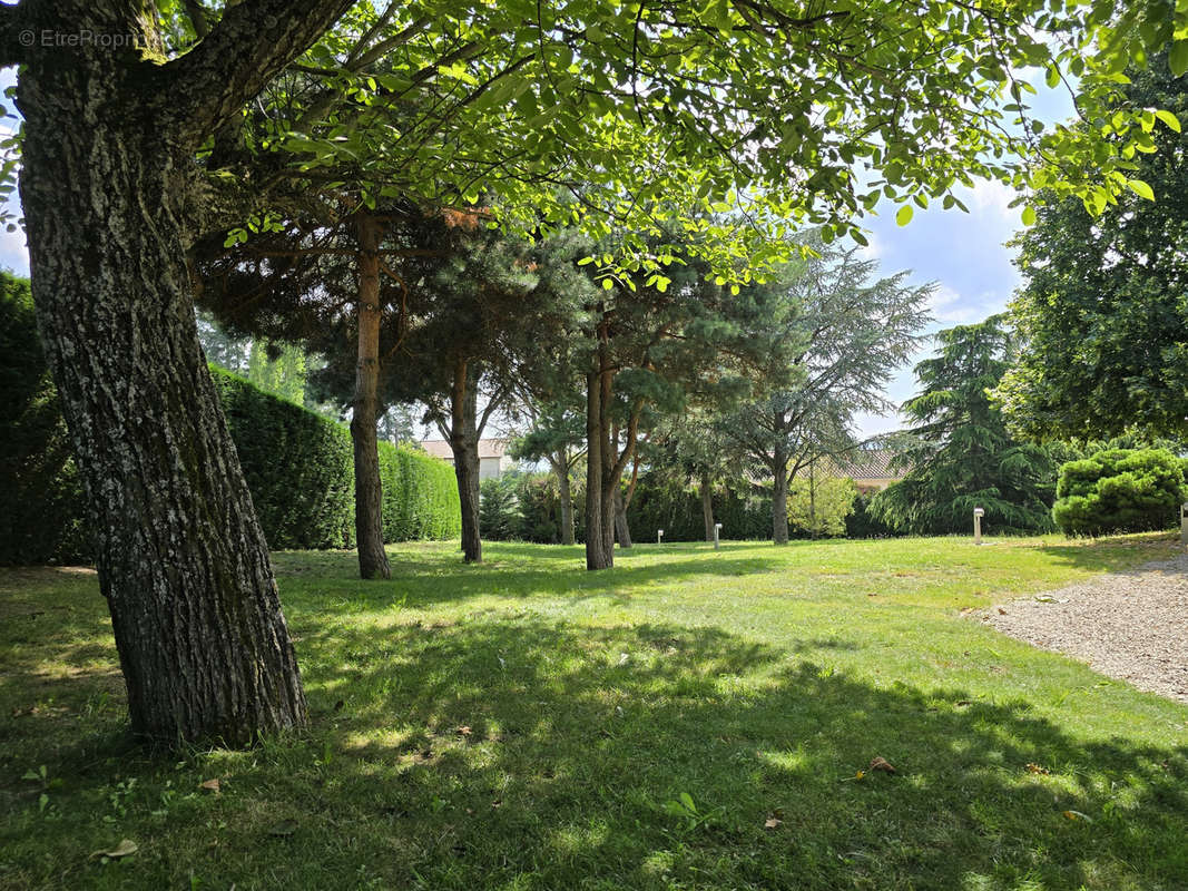 Maison à MONISTROL-SUR-LOIRE