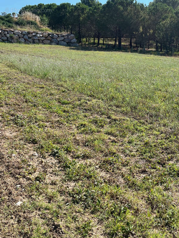 Terrain à LIMOUX