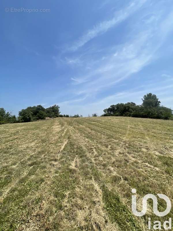 Photo 2 - Terrain à PRADES-SUR-VERNAZOBRE