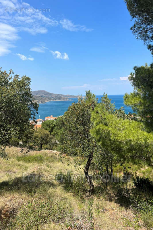 Maison à BANYULS-SUR-MER