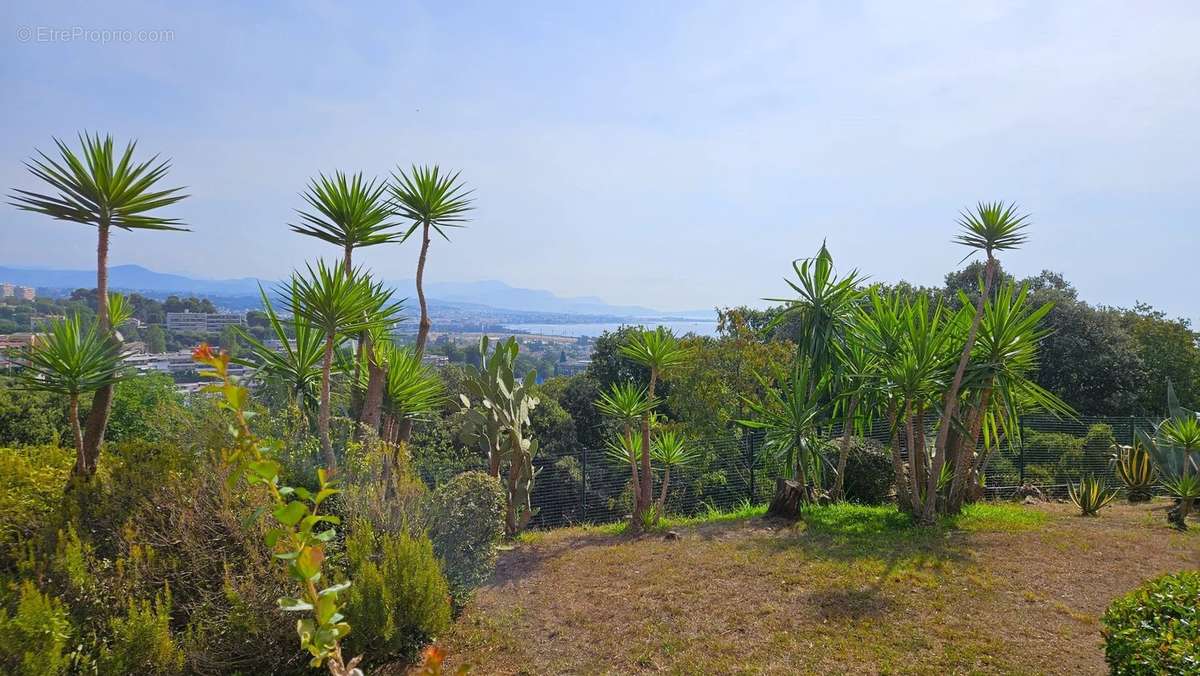 Appartement à VILLENEUVE-LOUBET