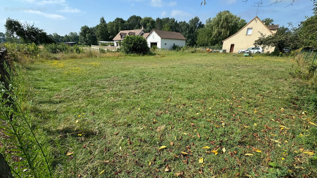 Terrain à SELLES-SAINT-DENIS