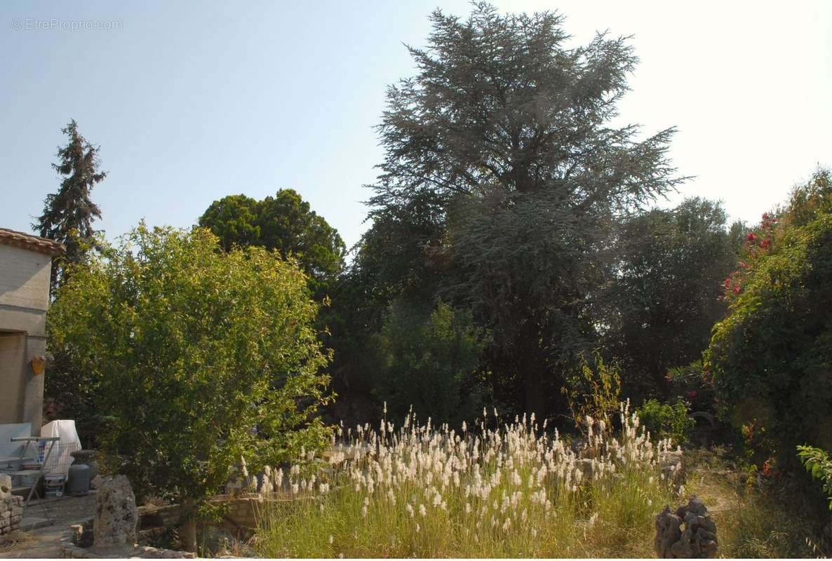 Terrain sud ouest - Maison à MAUGUIO