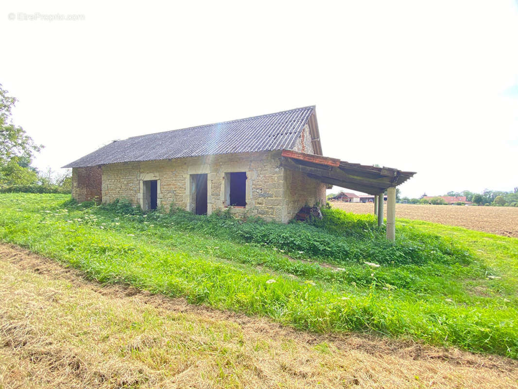 Autre à BEAUREPAIRE-EN-BRESSE