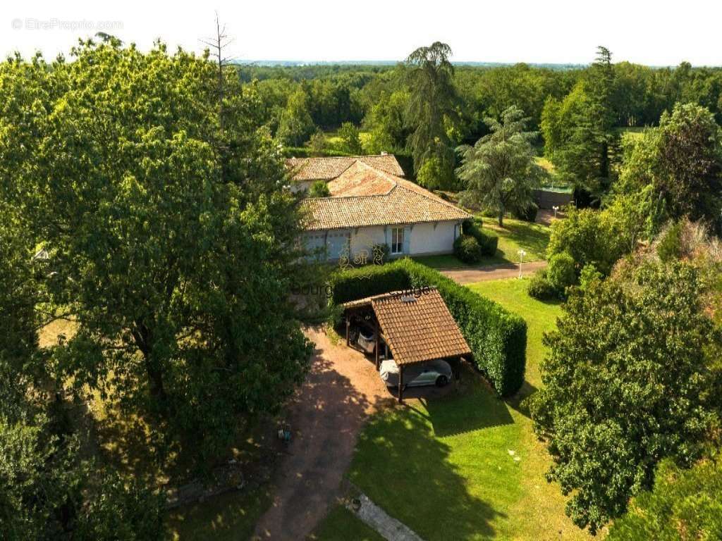 Maison à TOURNUS