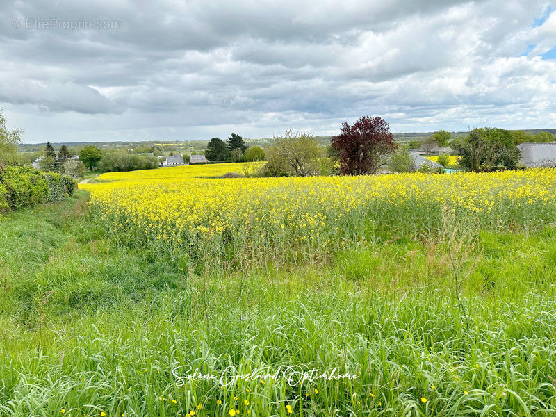 Terrain à RIEUX