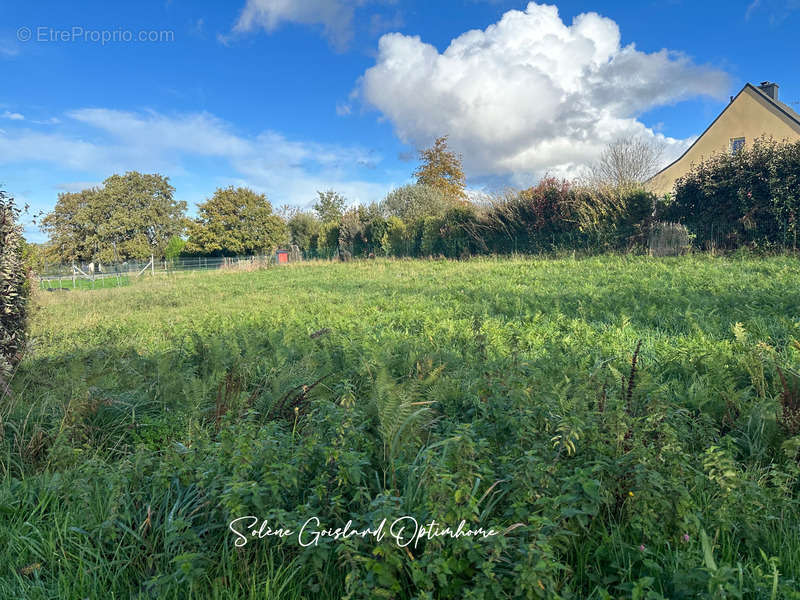 Terrain à RIEUX