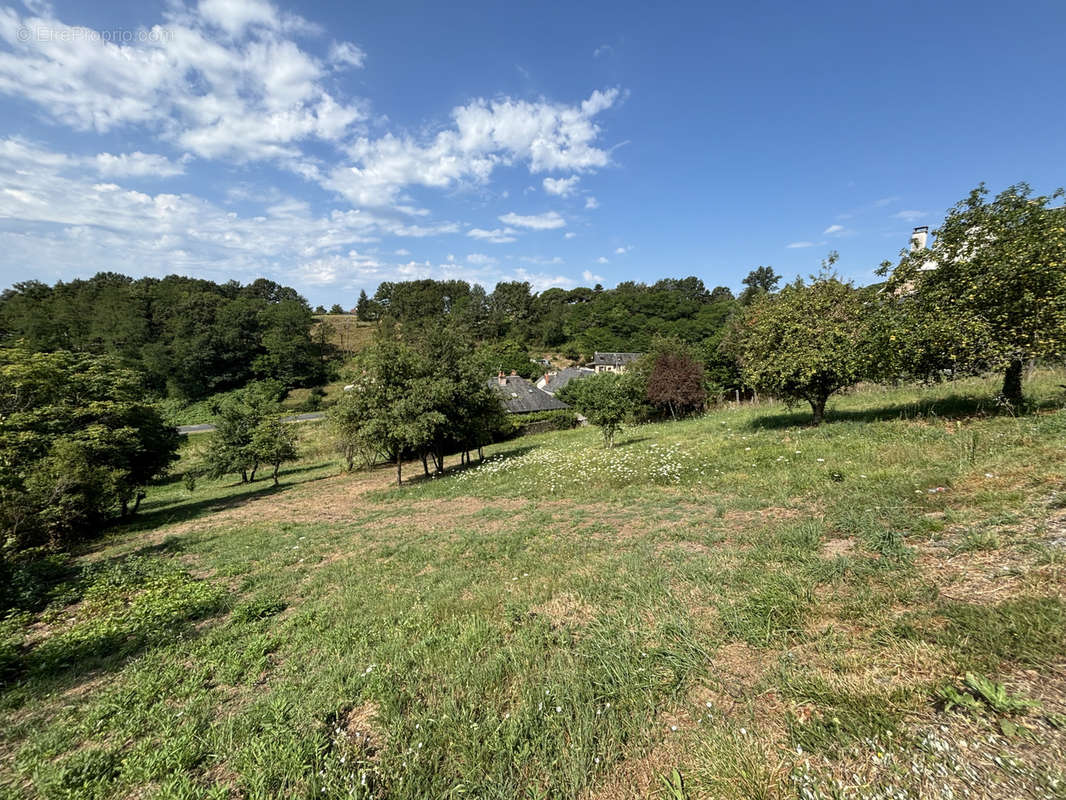 Terrain à BRIVE-LA-GAILLARDE