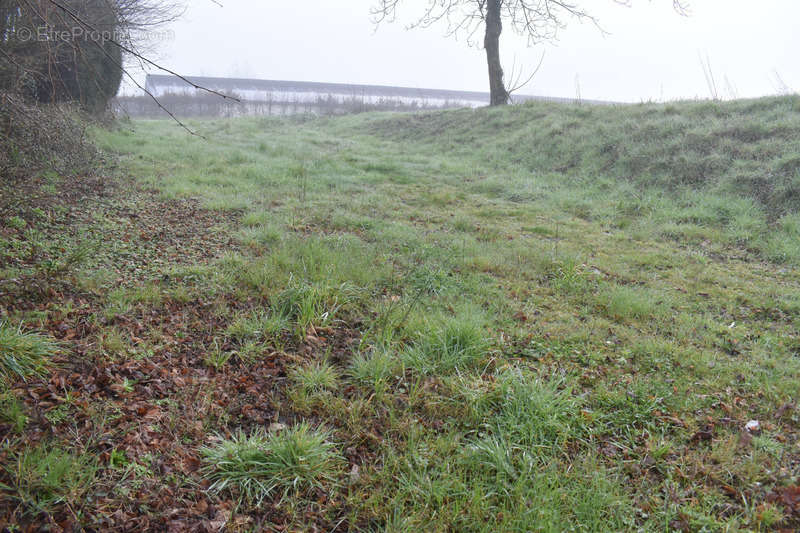 Terrain à COURLAY