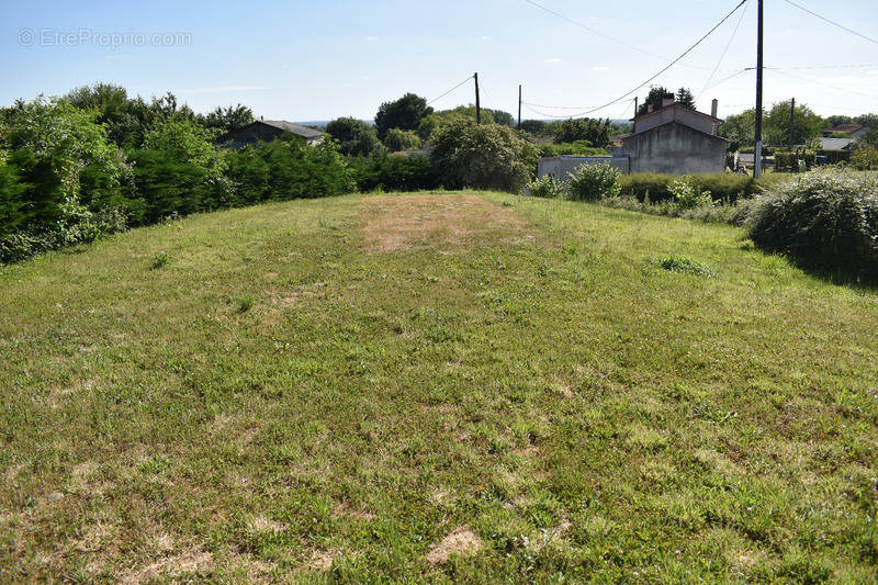 Terrain à COURLAY