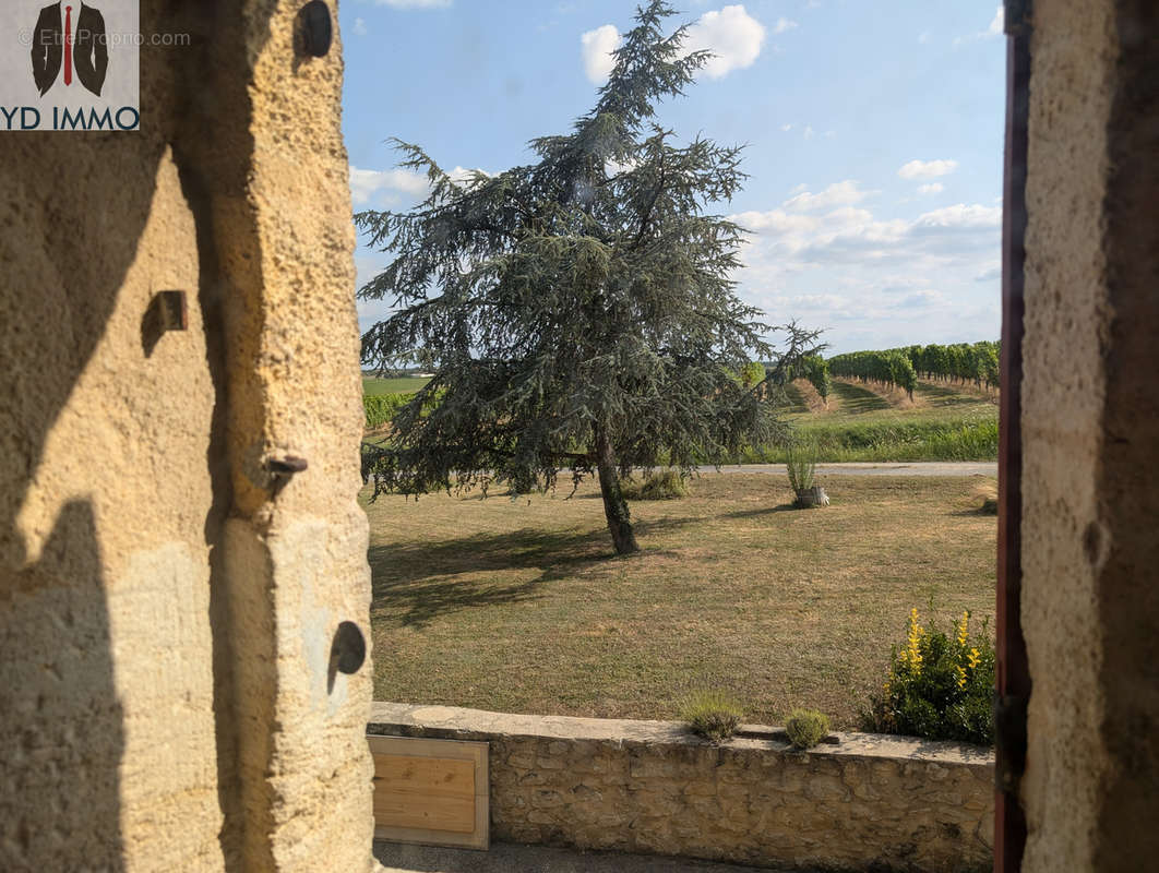 Maison à CASTELVIEL