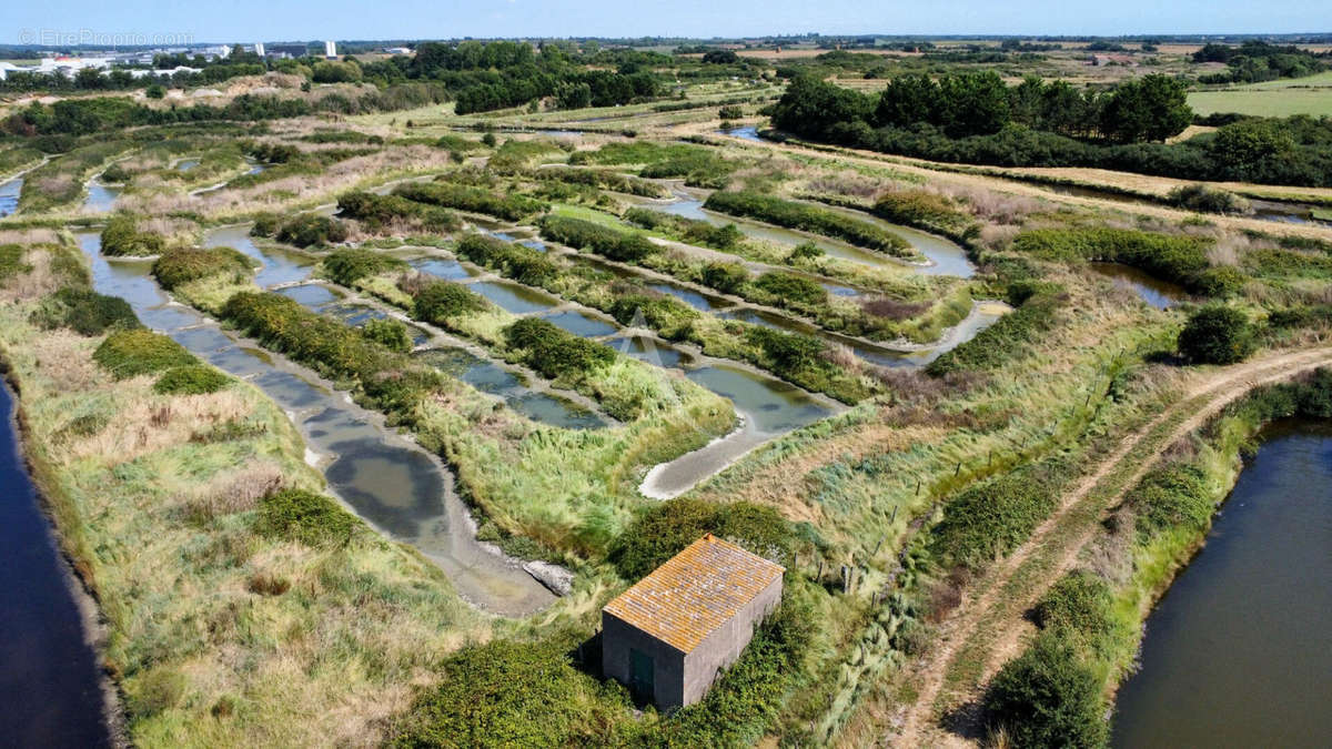 Terrain à TALMONT-SAINT-HILAIRE