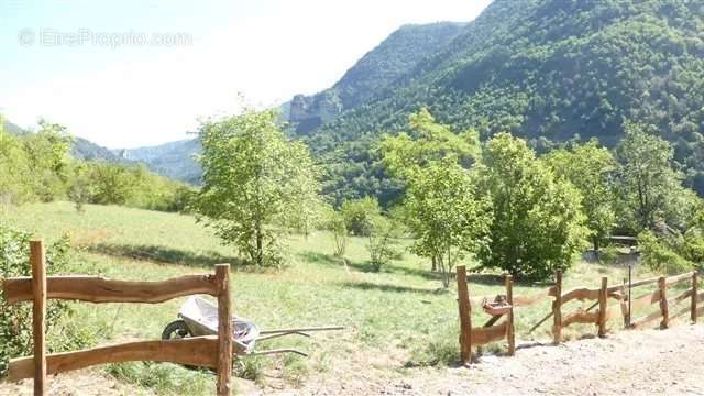 Terrain à LES VIGNES