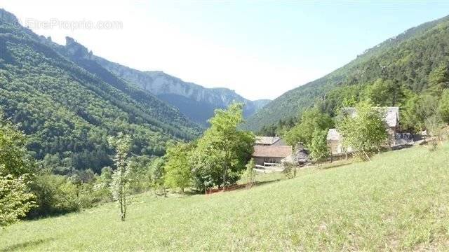 Terrain à LES VIGNES