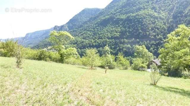 Terrain à LES VIGNES