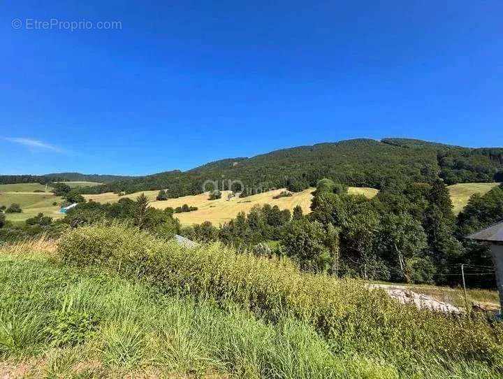 Terrain à AILLON-LE-JEUNE