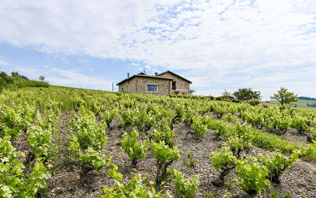 Maison à JULIENAS