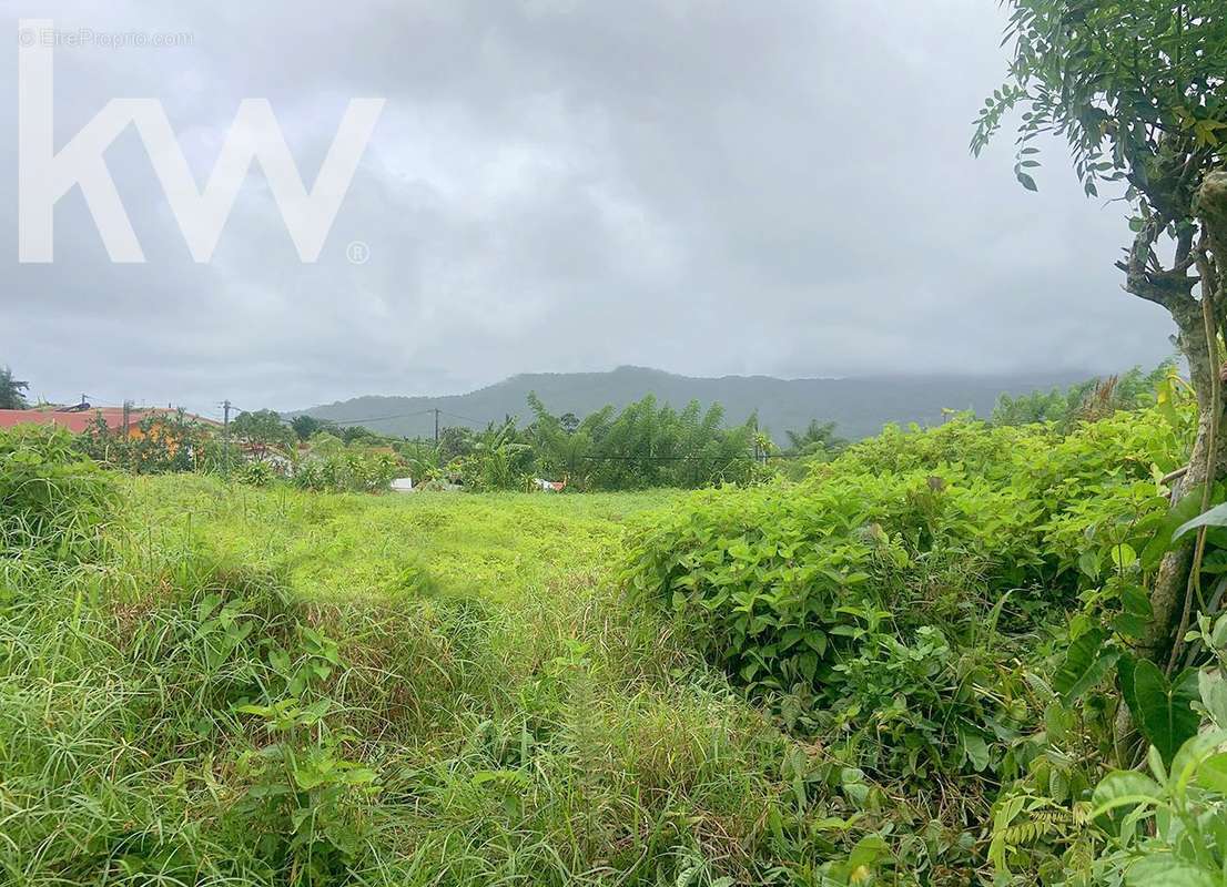 Terrain à LE MORNE-ROUGE