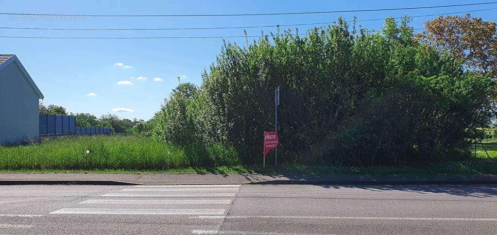 Terrain à HAN-SUR-NIED