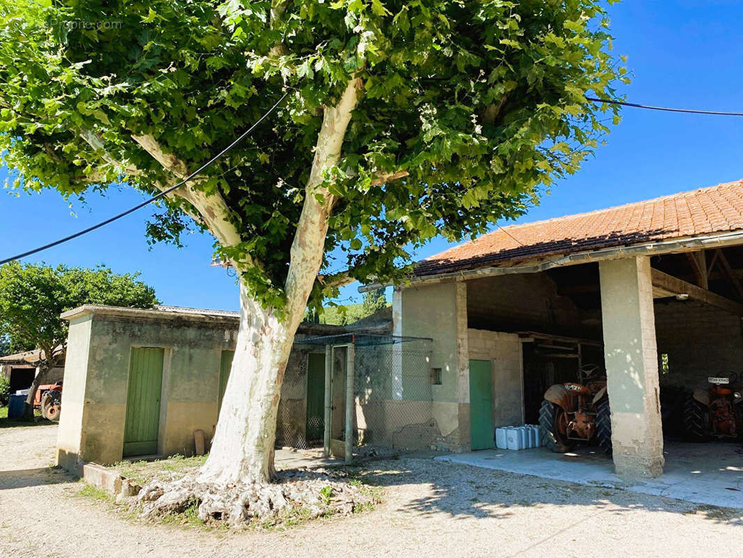 Maison à CHEVAL-BLANC