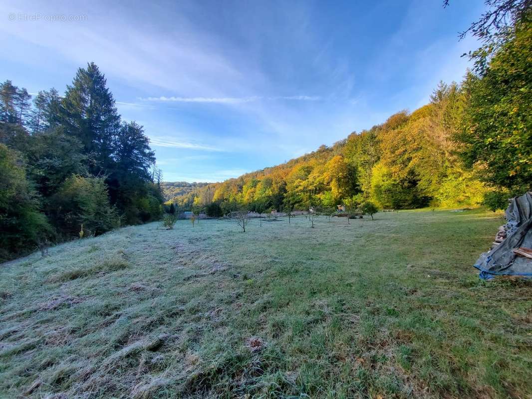 Terrain à DOULAINCOURT-SAUCOURT