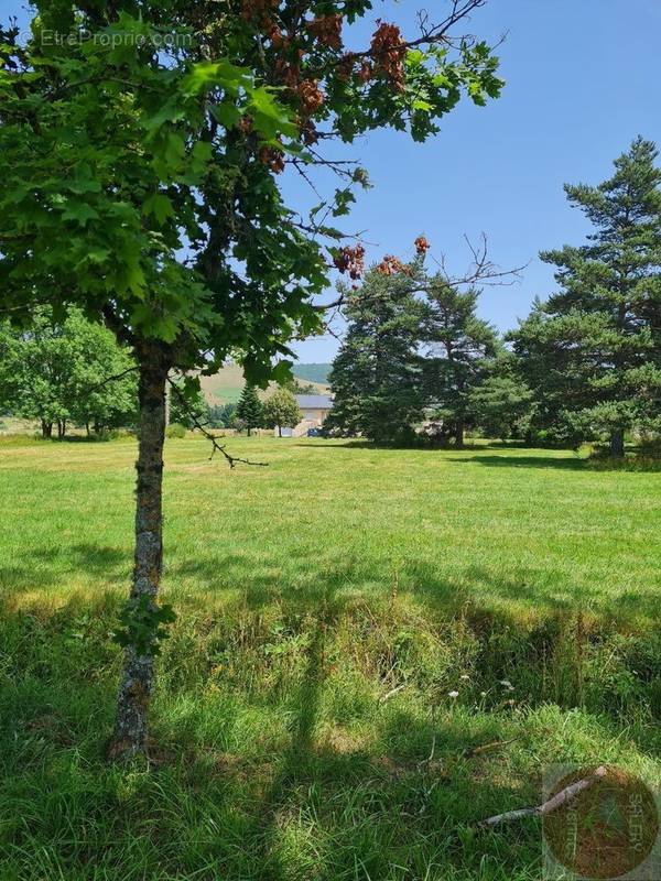 Terrain à SAINT-SAUVEUR-CAMPRIEU