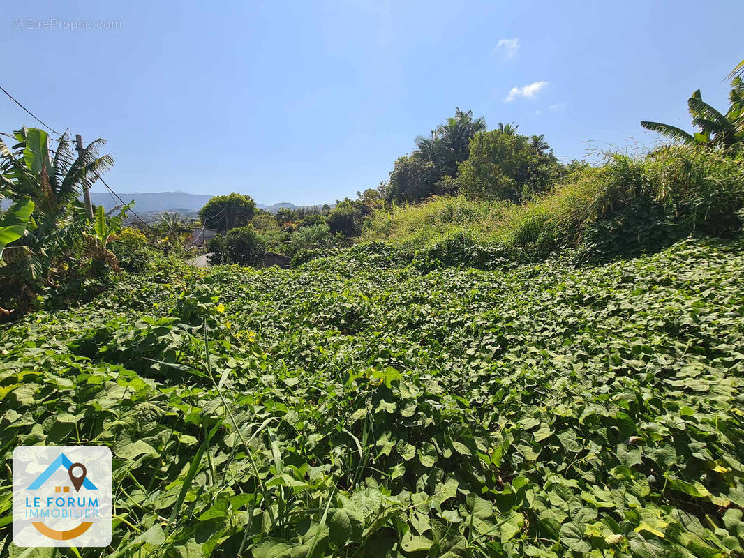 Terrain à LE TAMPON