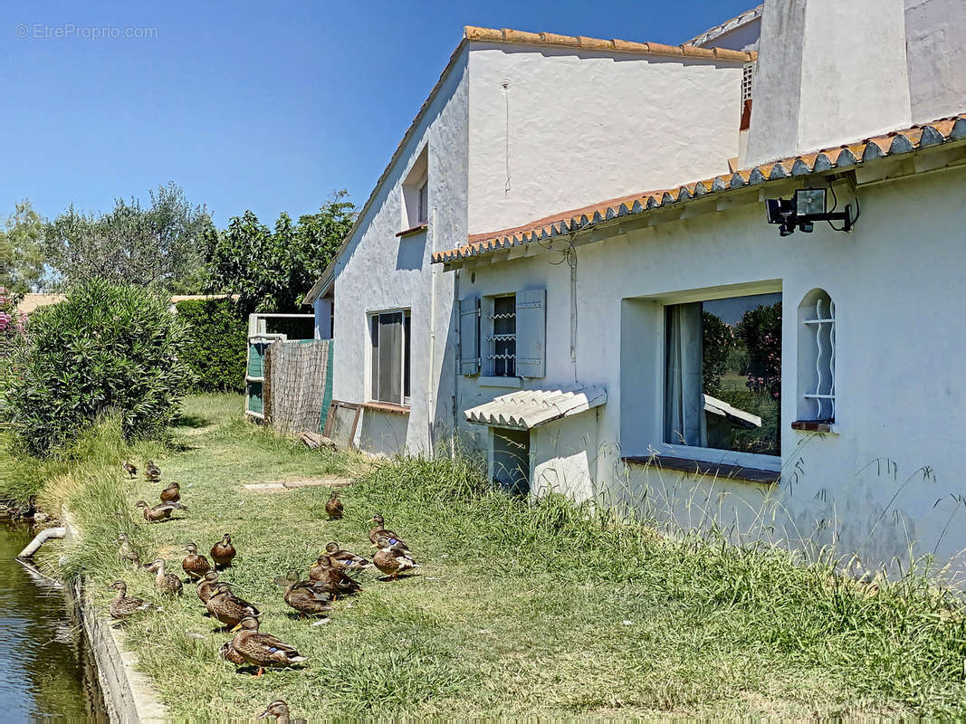 Maison à SAINTES-MARIES-DE-LA-MER