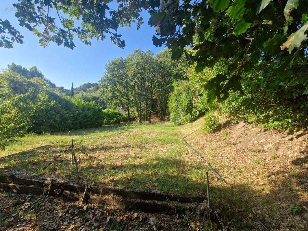 Terrain à SAINT-ALEXANDRE