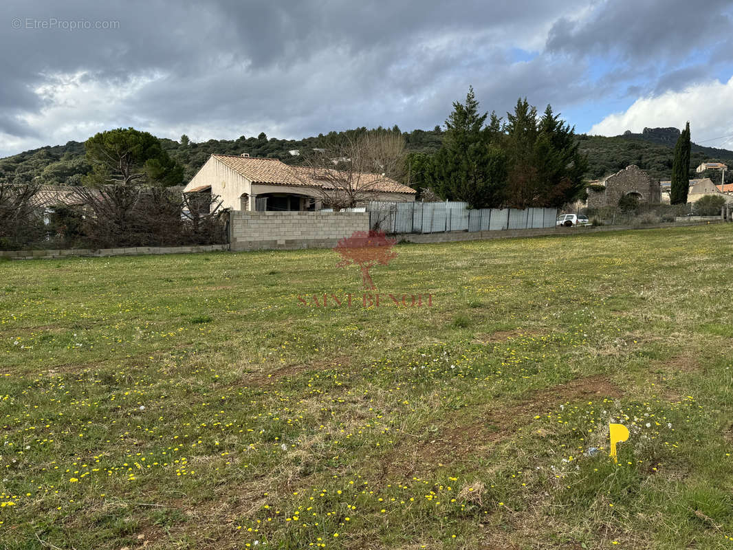 Terrain à SAINT-SATURNIN-DE-LUCIAN