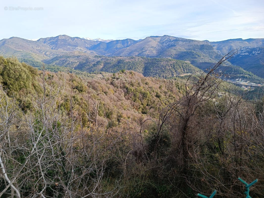 Terrain à BERRE-LES-ALPES