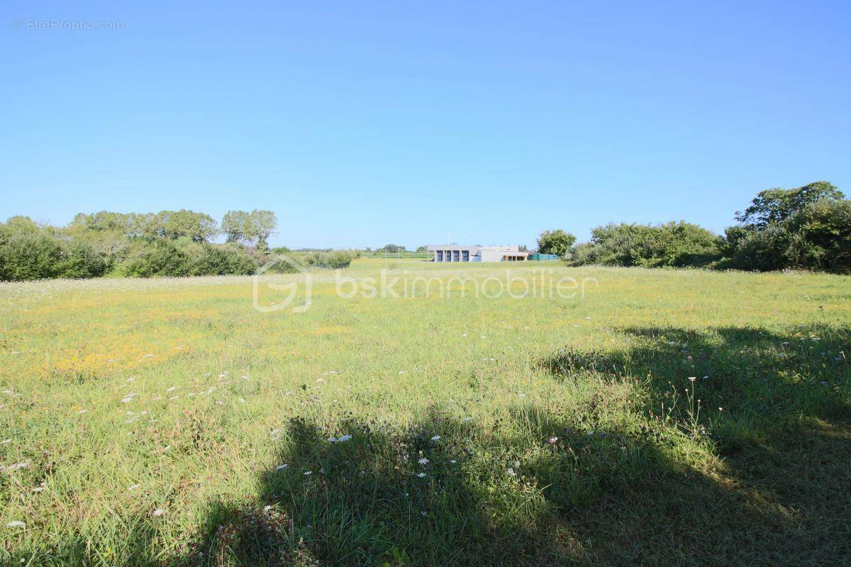 Terrain à SERRES-CASTET