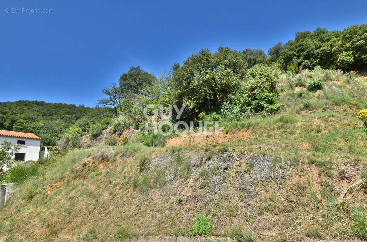 Terrain à AMELIE-LES-BAINS-PALALDA