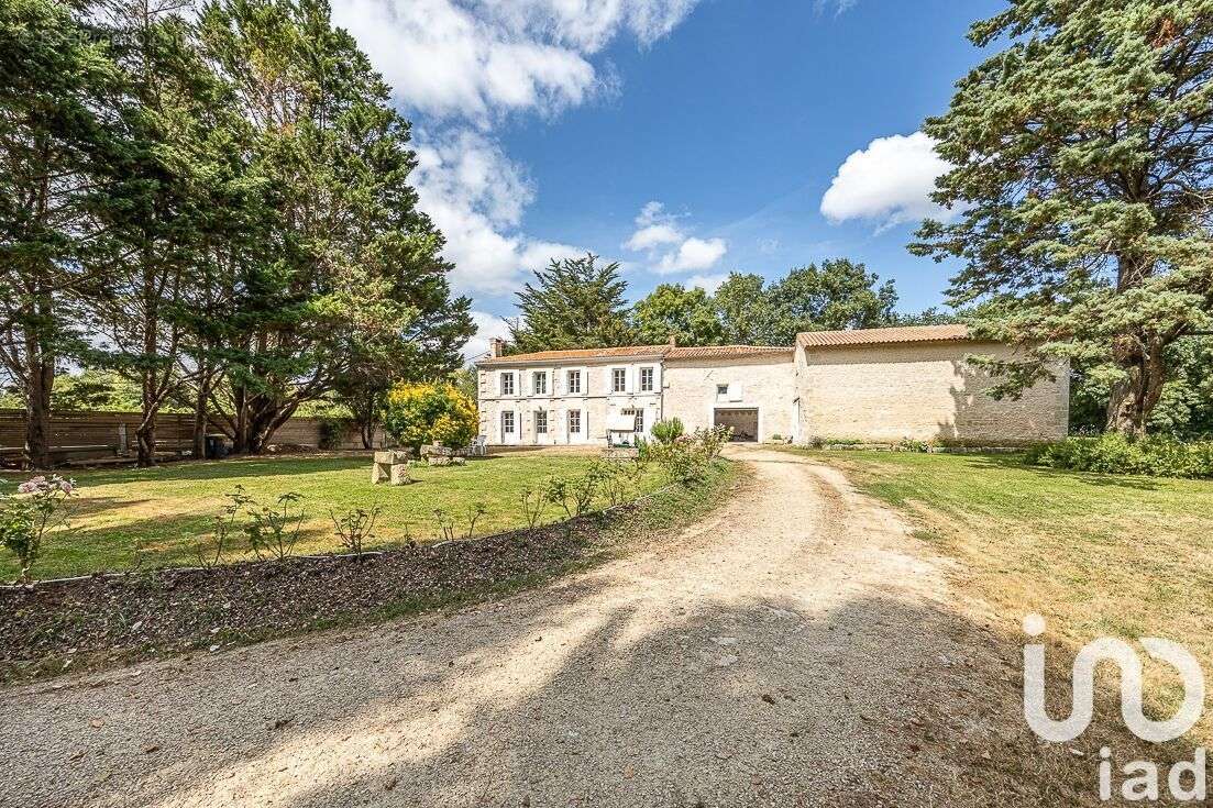 Photo 3 - Maison à SAINT-SYMPHORIEN