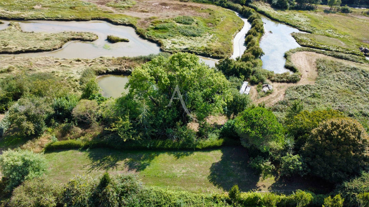 Terrain à TALMONT-SAINT-HILAIRE