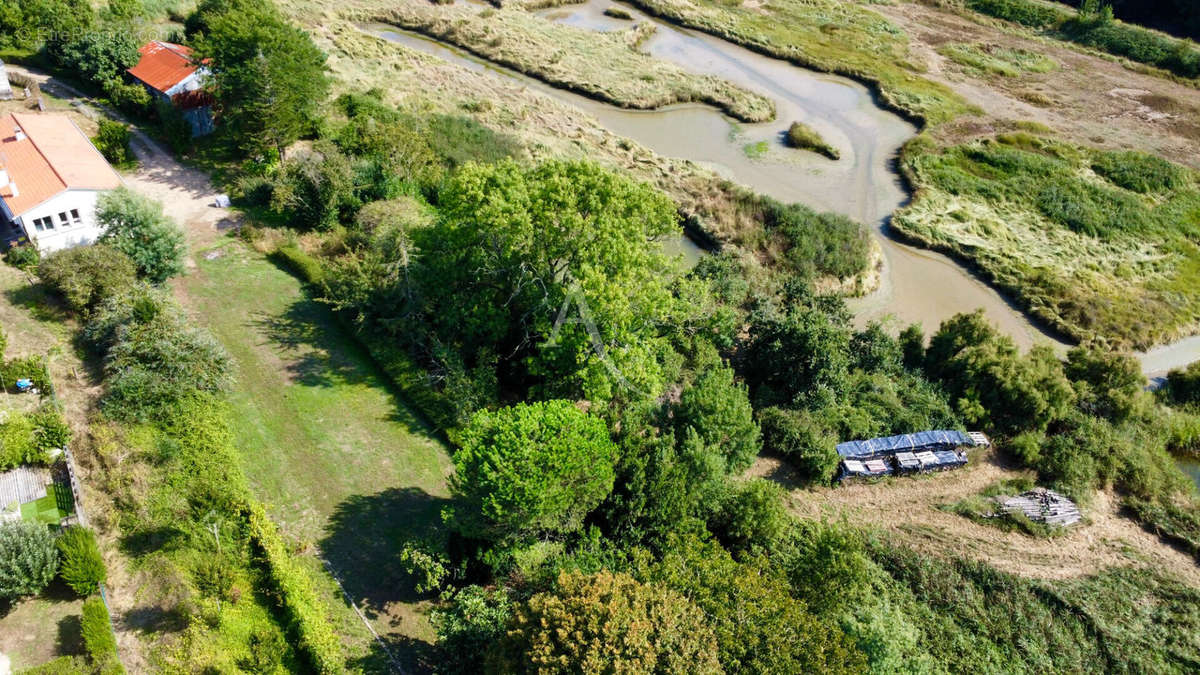 Terrain à TALMONT-SAINT-HILAIRE