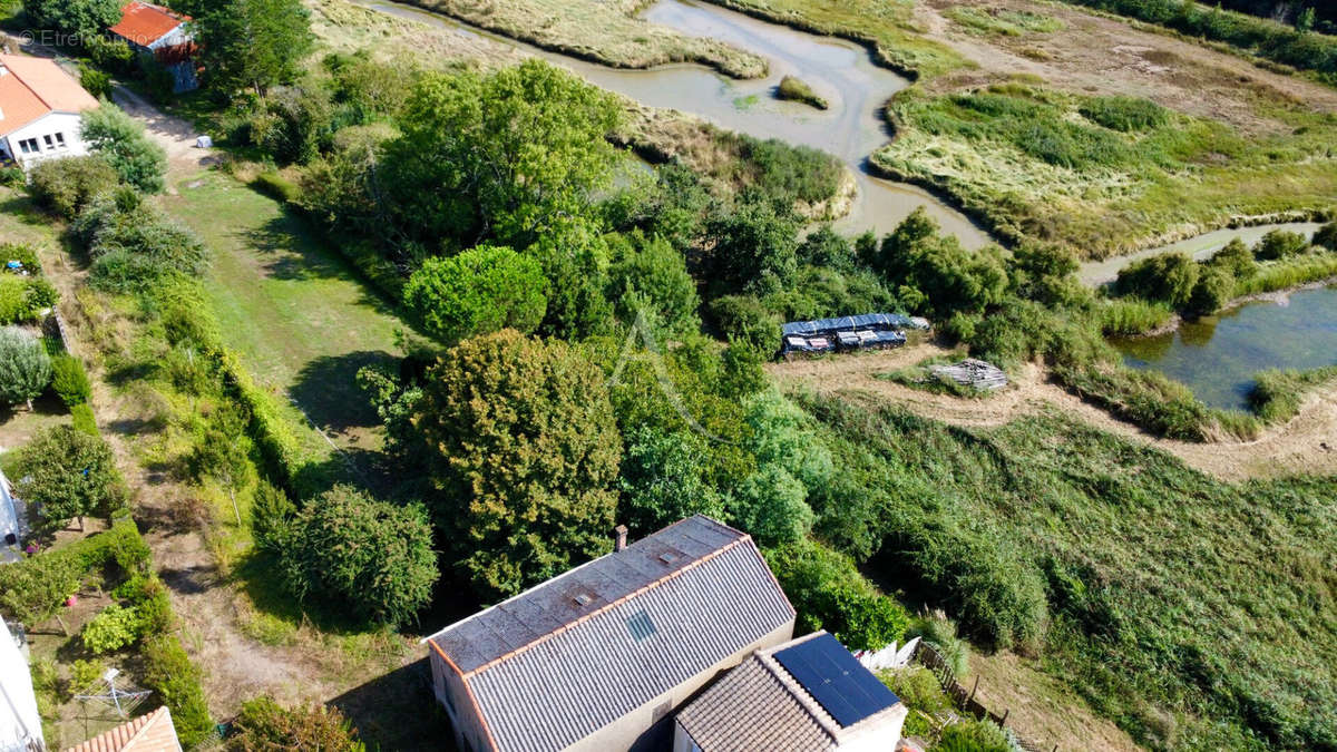 Terrain à TALMONT-SAINT-HILAIRE