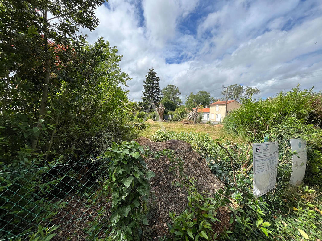 Terrain à SAINT-FLORENT-DES-BOIS