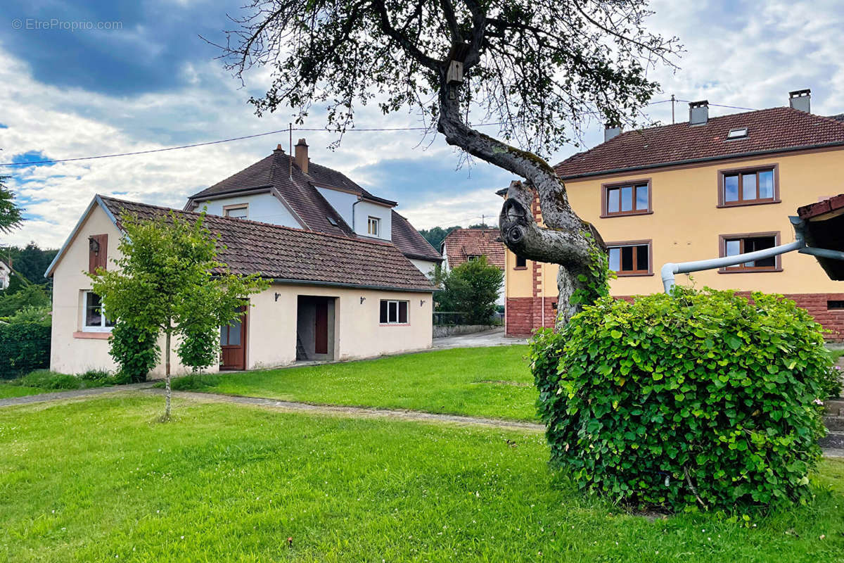 Maison à WINGEN-SUR-MODER