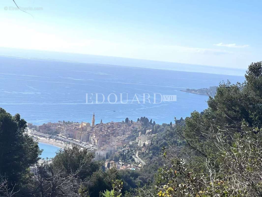 Terrain à MENTON