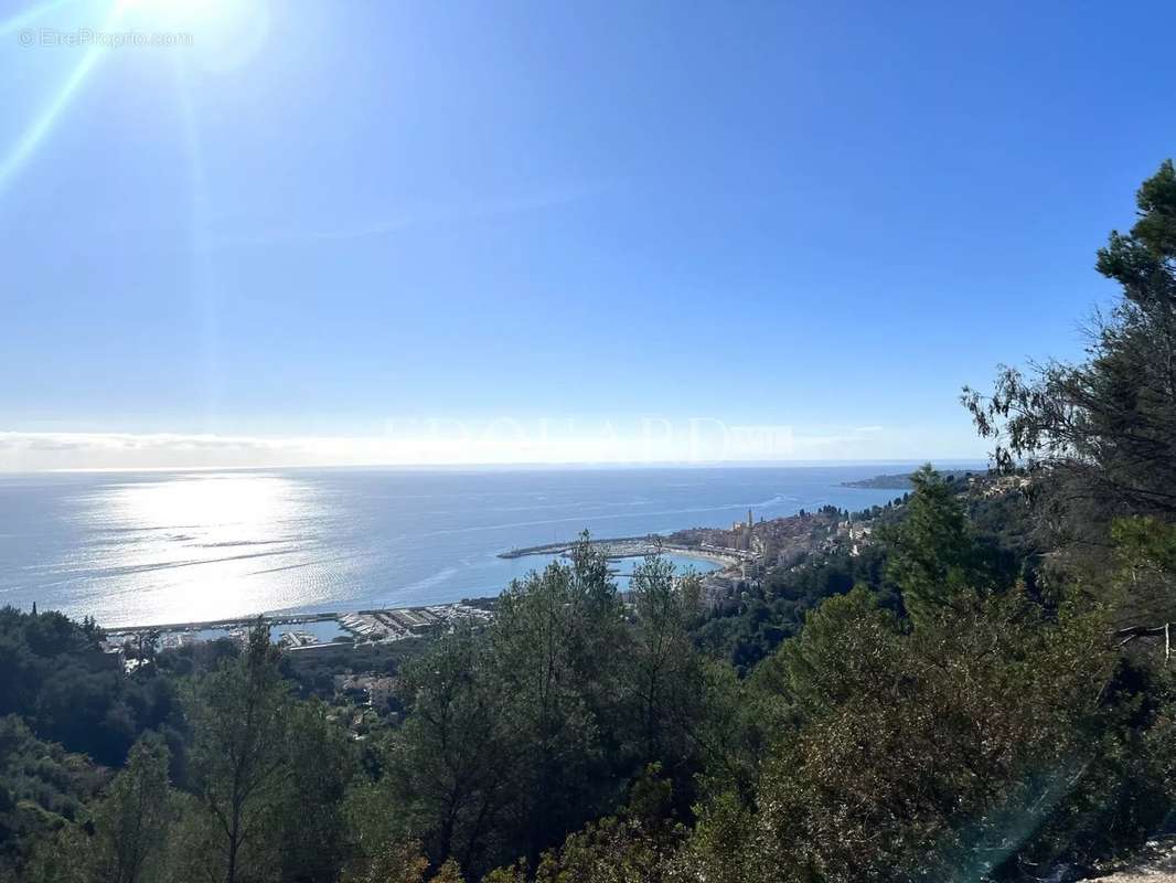 Terrain à MENTON